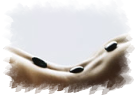 www.hotstonemassage.it